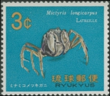 Mictyris longicarpus