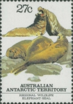 Mirounga leonina