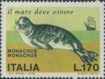 Monachus monachus