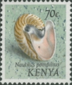 Mollusca (molluscs)