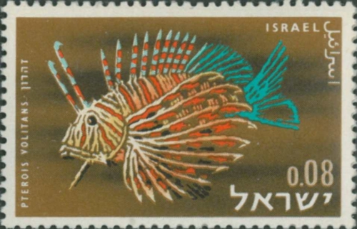 Pterois volitans