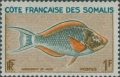 Pisces (fish)