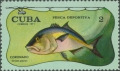 Pisces (fish)