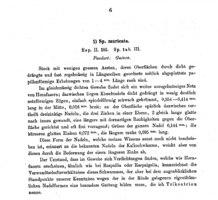 Ehlers' description of Trikentrion