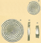 Chromista - Foraminifera (foraminifers)