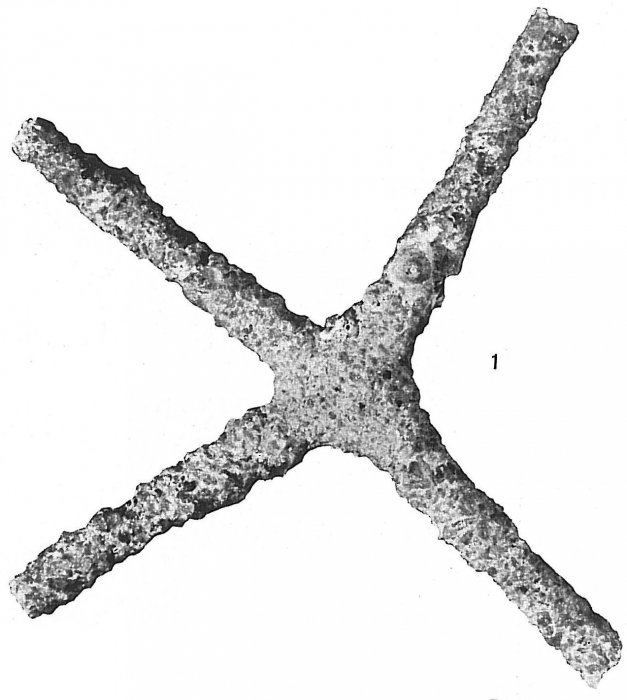 Rhabdammina abyssorum Rhabdammina abyssorum