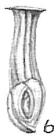 Articulina sulcata sensu Cushman (1929) = Articulina sagra (see Cushman (1944))