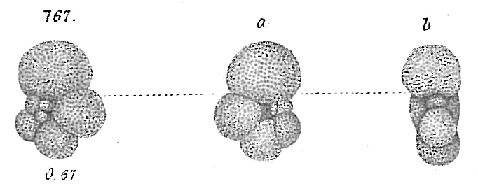 Globigerina aequilateralis