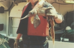 Chimaeriformes