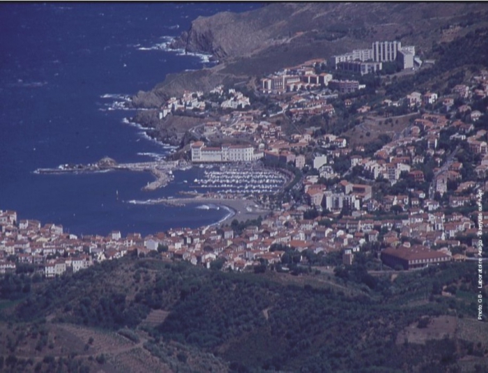 Bay of Banyuls-sur-Mer.