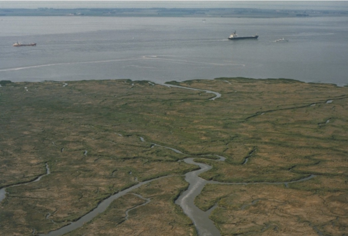 Saeftinghe: one of Europe’s largest saltmarshes in the Westerschelde.