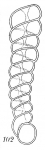 Chromista - Foraminifera (foraminifers)