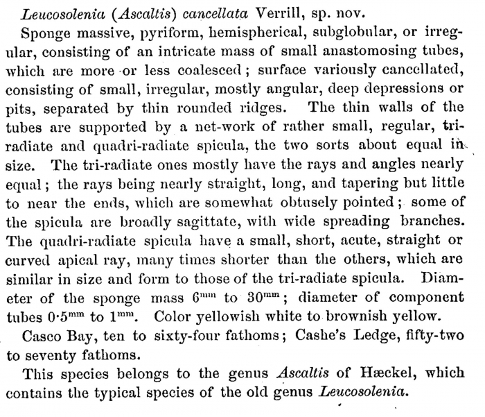 Original Description Original Description