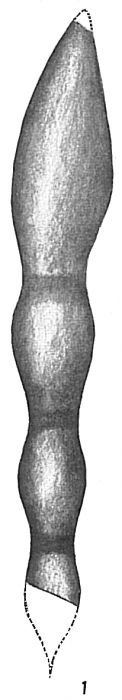 Nodosaria inflexa Nodosaria inflexa