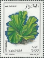 Chlorophyta (green algae)