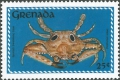 Crustacea (crustaceans)