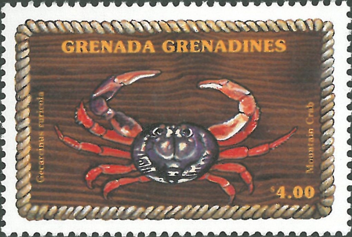 Gecarcinus ruricola