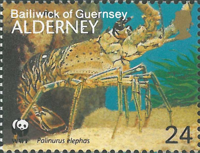 Palinurus elephas Palinurus elephas