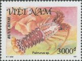 Palinurus sp., author: Collection VLIZ