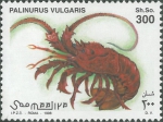 Palinurus vulgaris