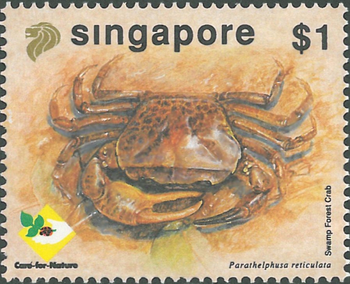 Parathelphusa reticulata Parathelphusa reticulata