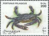 Portunus (Portunus) pelagicus, author: Collection VLIZ