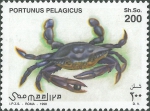 Portunus (Portunus) pelagicus