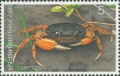 Crustacea (crustaceans)