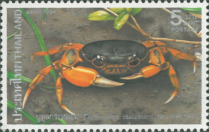 Thaipotamon chulabhorn Thaipotamon chulabhorn