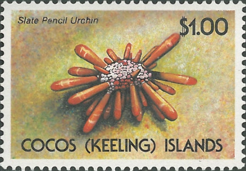 Heterocentrotus mamillatus stamp