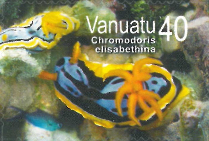 Chromodoris elisabethina Chromodoris elisabethina