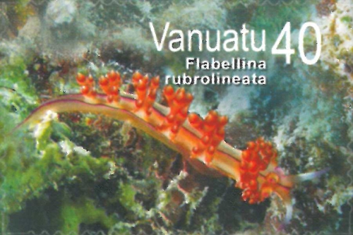 Flabellina rubrolineata