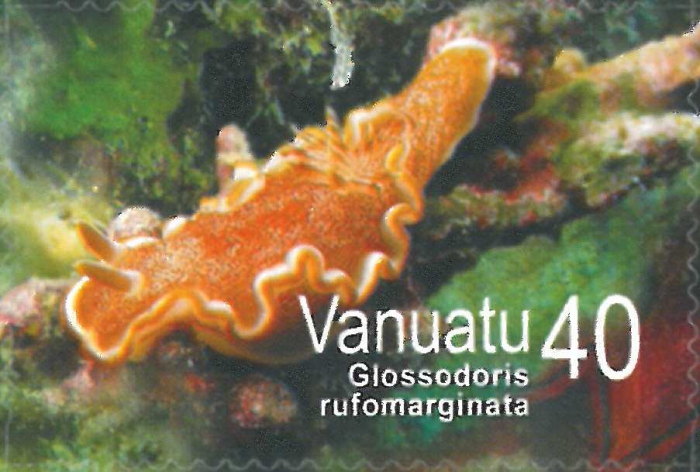 Glossodoris rufomarginata