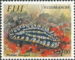 Nudibranchia