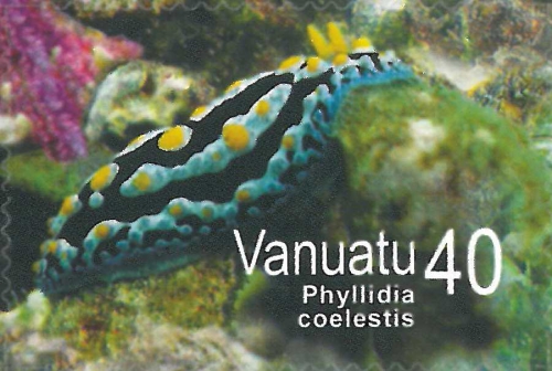 Phyllidia coelestis