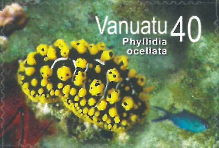 Phyllidia ocellata Phyllidia ocellata