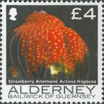 Actinia fragacea