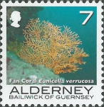 Eunicella verrucosa
