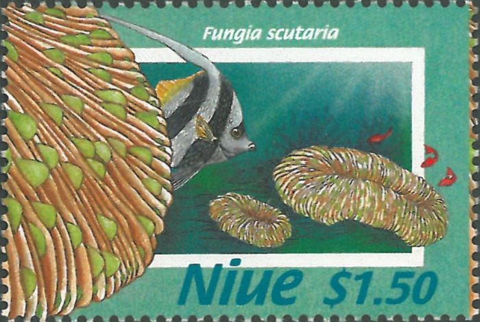 Fungia scutaria Fungia scutaria