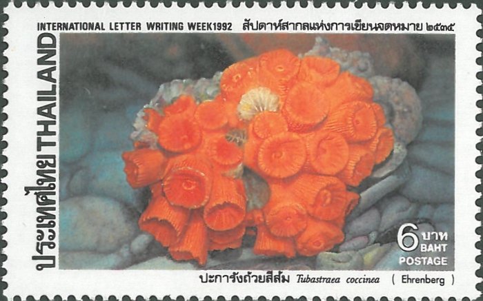 Tubastraea coccinea Tubastraea coccinea