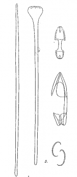 Rhaphidotheca arctica Hentschel, 1929