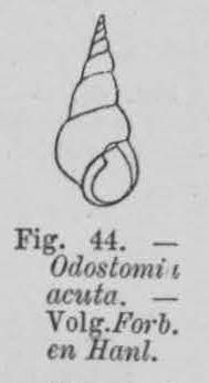 Eben (1884, figuur 44) Eben (1884, figuur 44)