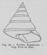 Eben (1884, figuur 49)