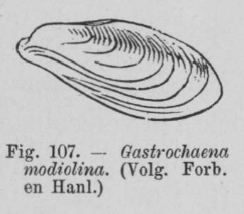 Eben (1884, figuur 107) Eben (1884, figuur 107)