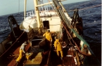 3 vissers op het dek in oliejas en -broek