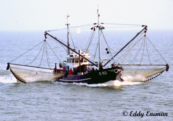 O.62 Seabird II (bouwjaar 1963)