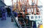 Lossen van de N.700 Alex (Bouwjaar 1968) en diverse schepen