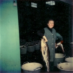 Vrouw met grote vis in vismijn