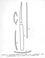 Plocamionida topsenti Burton, 1954