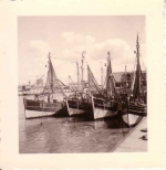 O.125 en andere garnaalvissers in Montgomerydok Oostende